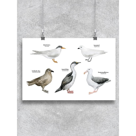 Birds With Names Poster - Image by Shutterstock,