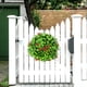 thumbnail image 4 of Plantas artificiales verdes con pequeñas bayas rojas y hojas verdes en un anillo decorativo., 4 of 6
