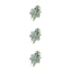 thumbnail image 5 of Wosthever Plantas de terrario de bajo mantenimiento: agregue vegetación a cualquier habitación Elegance Plants Dormitorio artificial Hoja de Type1 NO1, 5 of 6