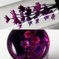 thumbnail image 5 of 20CM JDM Clear Real Flowers Manual Gear Stick Shift Knob Lever Shifter Head VIP Purple, 5 of 5