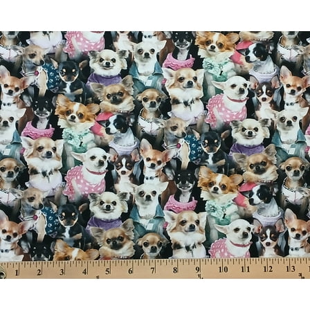 Cotton Best Friend Chihuahuas Dogs Multicolor Elizabeth Studios Cotton Fabric Print by the Yard (707-MULTI)