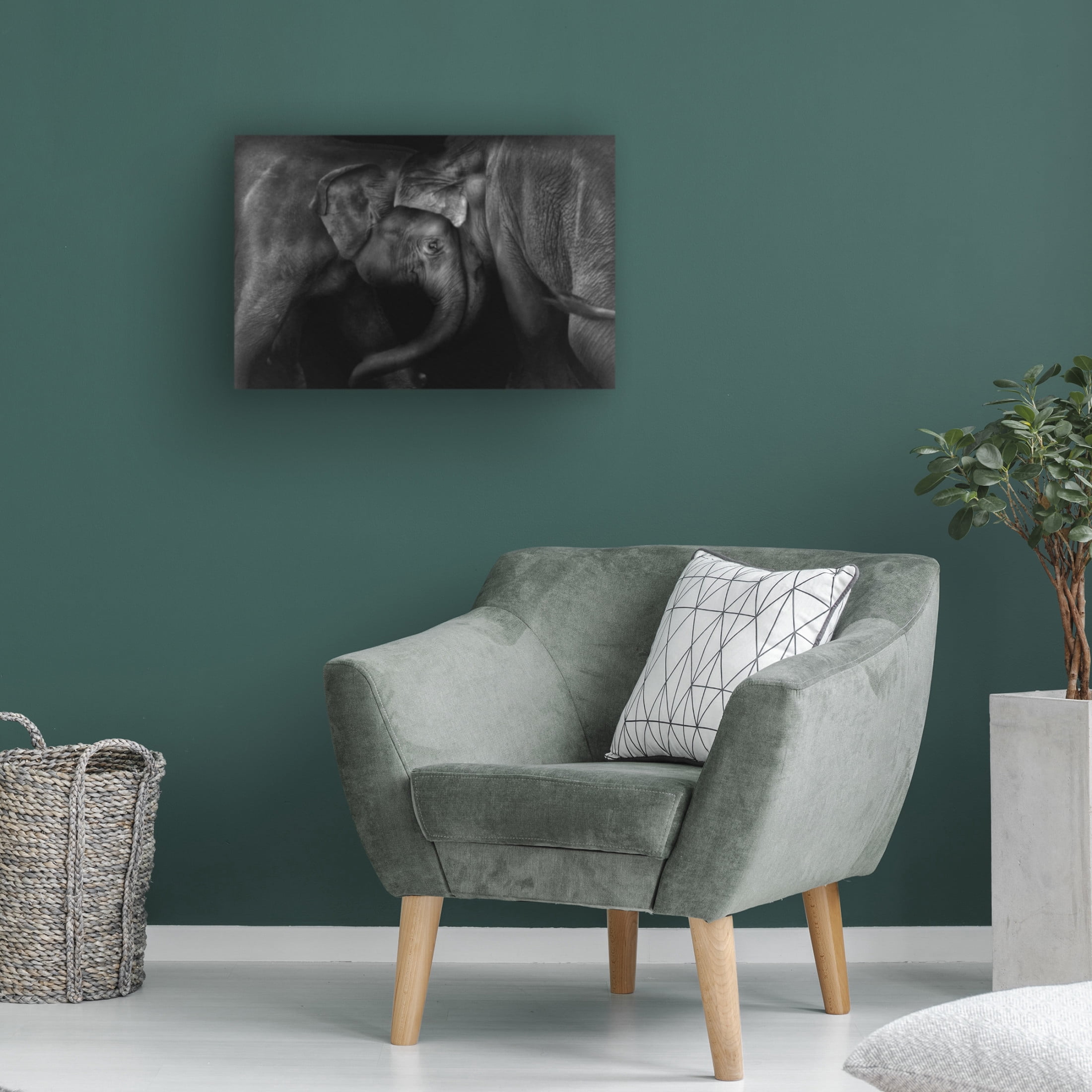 Canvas Wall Art - Claudio Ceriali 'Elephant 2' Wall Art for Living Room, Bedroom, or Office D?cor by Trademark Fine Art - 32 x 22 Inches