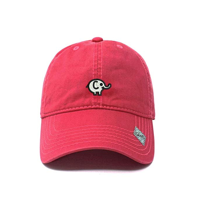 ski baseball cap