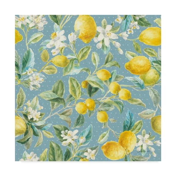 Trademark Fine Art 'Floursack Lemon Pattern IB' Canvas Art by Danhui Nai
