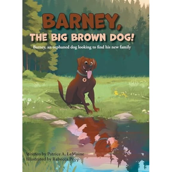 Pre-Owned Barney, The Big Brown Dog!: Barney, an orphaned dog looking to find his new family, 9781038317087, 1038317088, Hardcover,