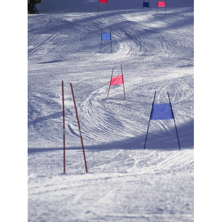 Slalom Ski Race Course Print Wall Art By Bob (Best Slalom Race Skis)