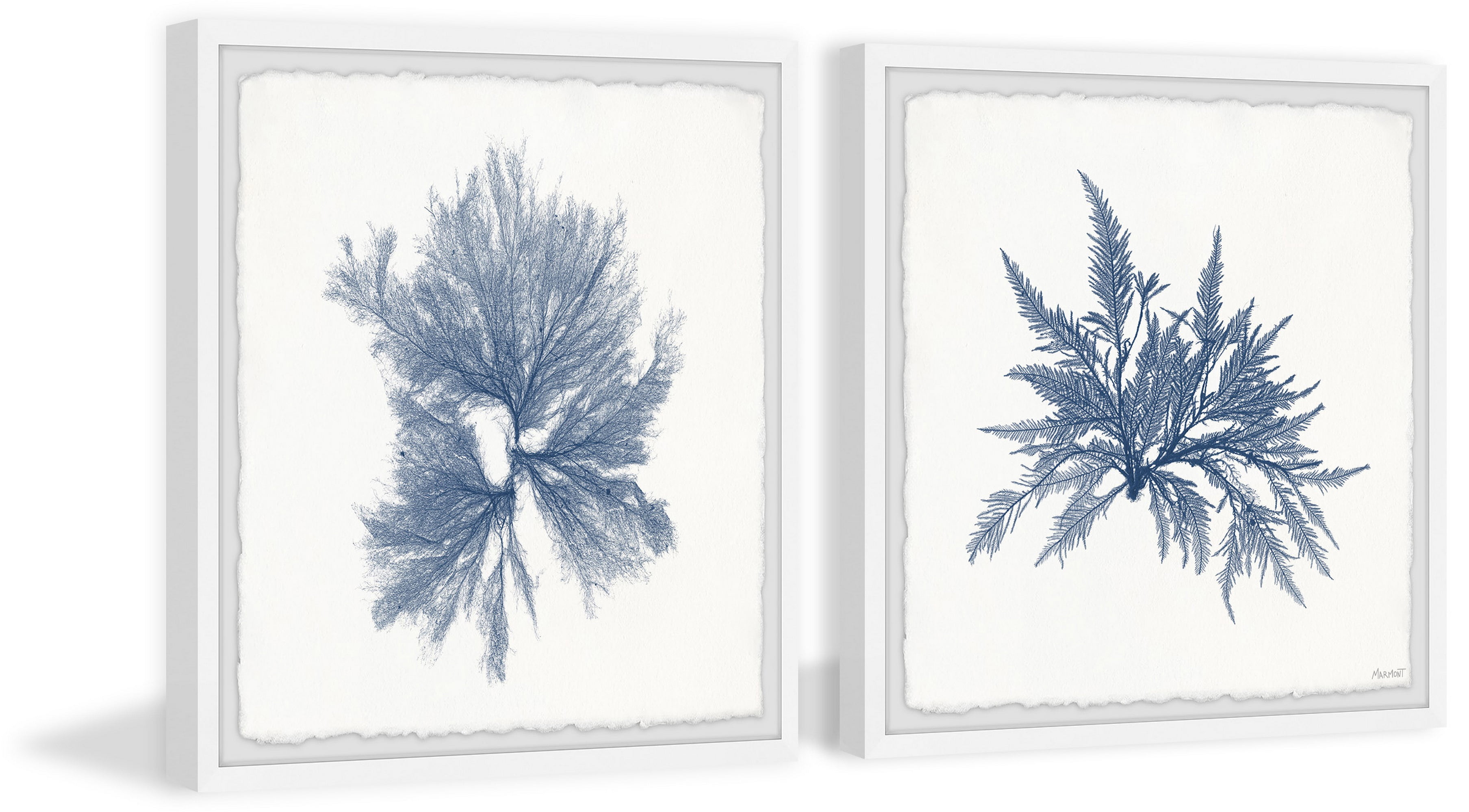 Marmont Hill Navy Sea Weed VI Diptych