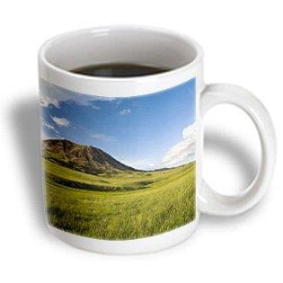 3dRose Bear Butte State Park near Sturgis South Dakota - US42 CHA0030 - Chuck Haney, Ceramic Mug, 15-ounce