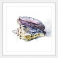 thumbnail image 2 of Marmont Hill "Tidal Conch" by Rachel Byler Framed Painting Print, 2 of 5