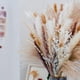 thumbnail image 3 of Pampas Grass 90 Uds. Flores secas naturales, compatibles con decoraciones para el hogar y la habitación, hierba de Pampas 100% Natural D, 3 of 3