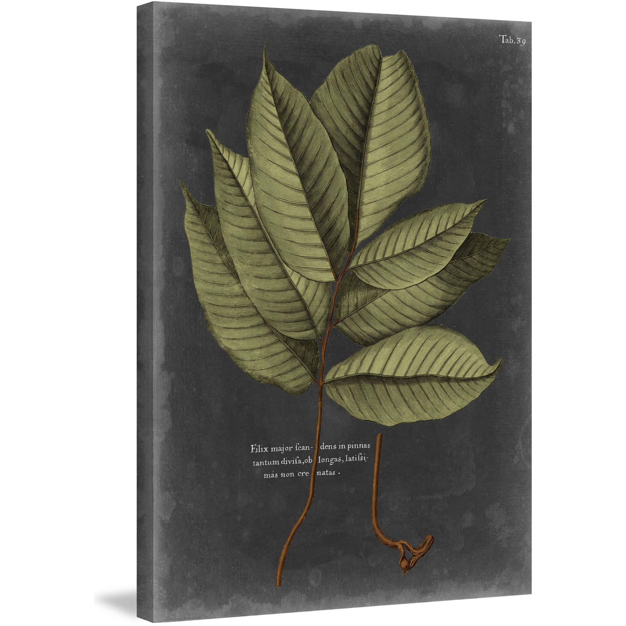 Marmont Hill "Foliage Dramatique III" Painting Print on Wrapped Canvas