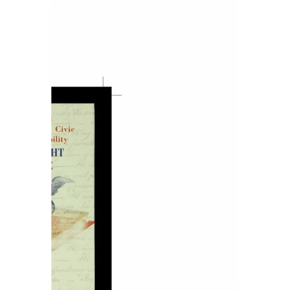 The Right to Vote (Paperback)