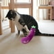 thumbnail image 1 of Juegos para Gatos onlyliua con Hierba Gatera Sonido Rugoso Suaves y Robustos Interactivos, 1 of 6