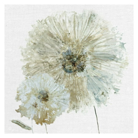 Masterpiece Art Gallery Ivory Spring I Flower By Carol Robinson Canvas Art Print 24