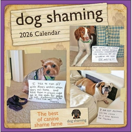 Dog Shaming 2026 Wall Calendar, (Paperback)