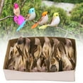 thumbnail image 2 of 12pcs Artificial Feather Bird Ornaments, Realistic Color & Natural Style Christmas Decor, Tiny Birds For Home, Holiday Craft Displays, Flocked Bird Picks For Wreaths, Tree Toppers, 2 of 7