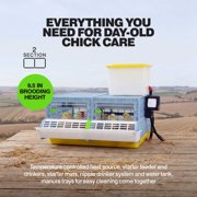 Hatching Time Chick Brooder - 2 Section H:9.5 (Power-Washable, Durable, ABS Plastic) | Cimuka