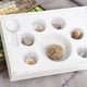thumbnail image 4 of 7 Piezas Muestras De Minerales Fósiles Y Rocas De Colección Con Caja De Almacenamiento, De Para Adultos Hugo Colección Rock y Mineral, 4 of 10