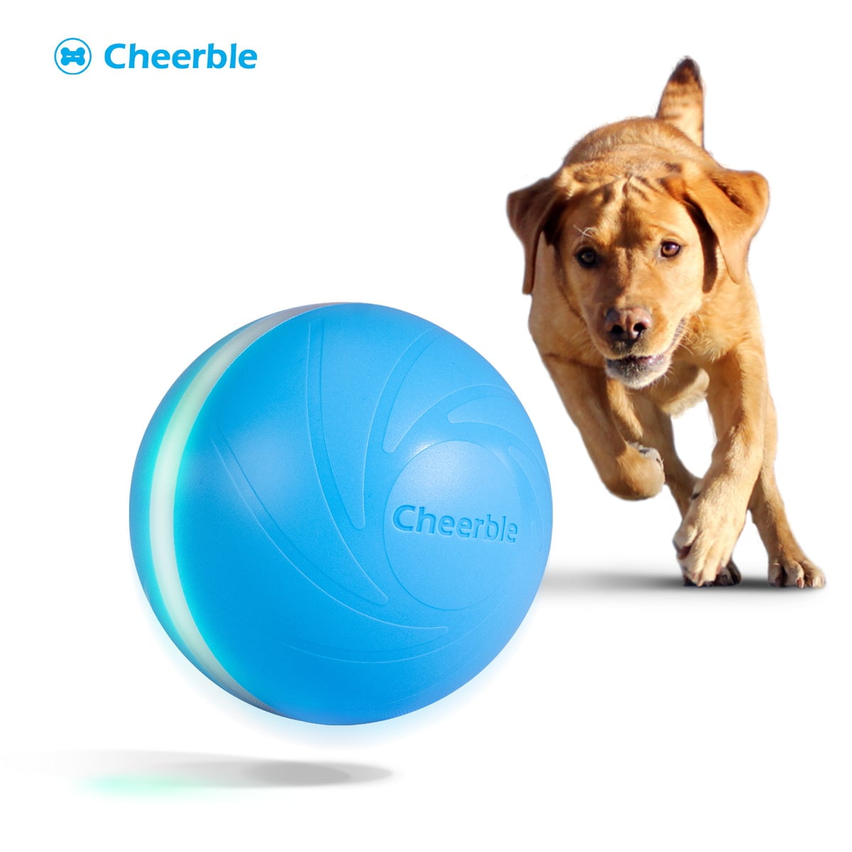 Wicked Ball, Automatic & Interactive Ball Toy for Dogs by Cheerble