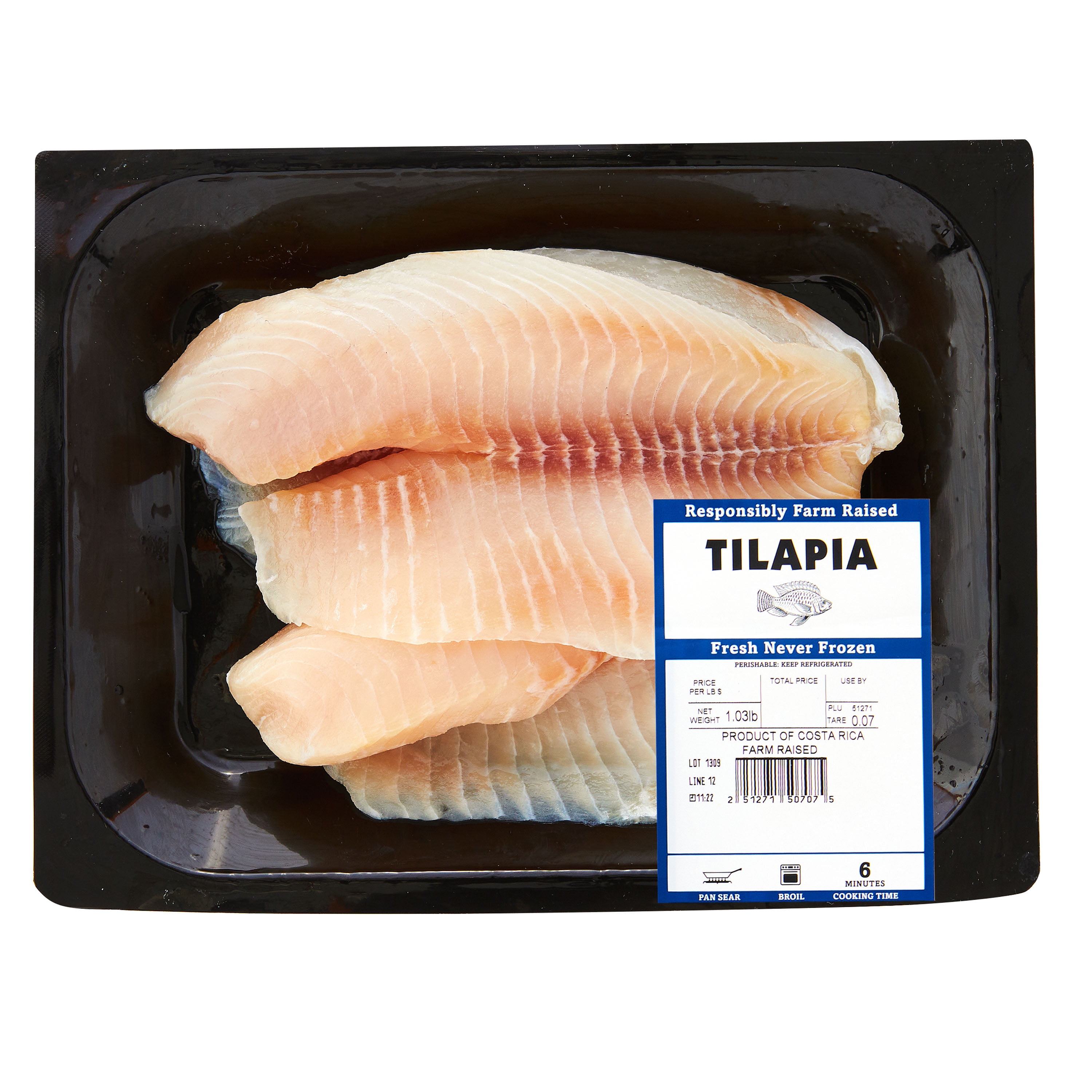 Fresh Fish Fresh Tilapia Fillets
