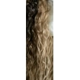 thumbnail image 2 of Eve Collection Lace front Wig 100% Hand Tied Lace Part  -Style: IL-810H  / COLOR: OM6/27/613, 2 of 7
