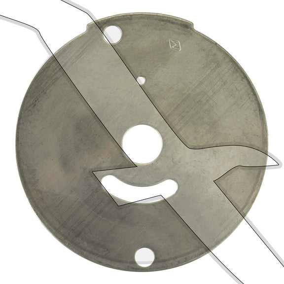 Johnson Evinrude Outboard Motor Plate 0203132 203132