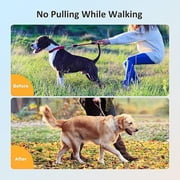 PATPET No-Pull Head Collar with Stainless Steel Carabiner for Large Dogs