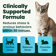 thumbnail image 3 of VetriScience Composure Anxiety Vitamin B-1 Chewables for Cat, Chicken Liver Flavor, 30 Count Pouch, 3 of 12