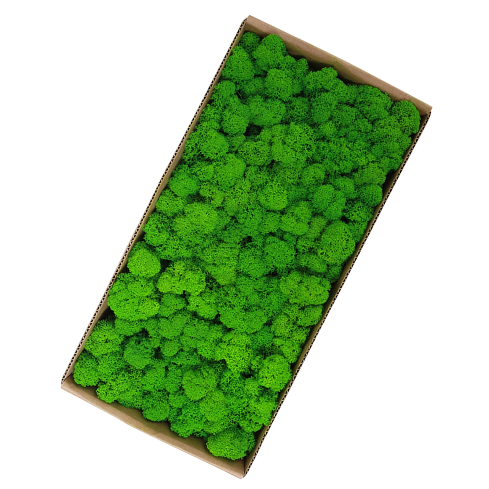 Real Preserved Moss Moss Preserved Moss Gardenning Art Wall Decor Moss Bulk Micro Landscape Decorative Props