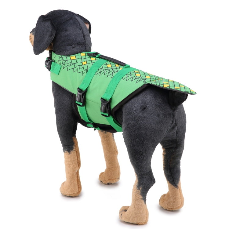 Can A Dog Wear A Human Life Vest