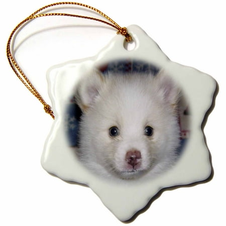 3dRose White And Cream Pomeranian Puppy, Snowflake Ornament, Porcelain,