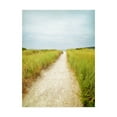thumbnail image 1 of Trademark Fine Art 'Beach Trail' Canvas Art by Brooke T. Ryan, 1 of 3