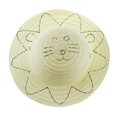 thumbnail image 1 of KLKCMS Kindergarten Drawing Straw Hat DIY Art Material lionet, 1 of 9