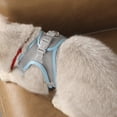 thumbnail image 5 of Breathable Cats Harness With Adjustable Straps And Safety Buckles For Small Pet Dog Outdoor Comfortable Walking Gear, 5 of 9