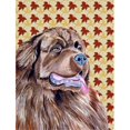 thumbnail image 1 of Carolines Treasures LH9084GF 11 x 15 In. Newfoundland Fall Leaves Portrait Flag- Garden Size, 1 of 3