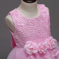 thumbnail image 3 of Coerni Girl's Wedding Parties Dress | Flower Girl Dress | Sleeveless Lace Embroidery Formal Gown Princess Pageant Dresses, 3 of 4