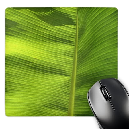 3dRose  Ridged In Perfectioon  MousePad price history on PriceWatchPro