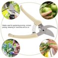 thumbnail image 3 of Tijeras de podar de jardín - Tijeras de podar de 2 piezas Tijeras de flores de punta micro Tijeras de podar de mano de jardinería Acero inoxidable con amarillo Profesional con bloqueo de seguridad Vhermosa GX-344, 3 of 8