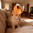 thumbnail image 3 of Adjustable Hat For Featuring Soft Comfort For Cats Dogs Ideal For Indoor Outdoor And Photo, 3 of 6