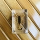 thumbnail image 5 of Naiovety Añadir encanto al hogar, especímenes de insectos de resina transparente hechos a mano, pisapapeles, espécimen de taxidermia, Type3 NO3, 5 of 6