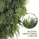 thumbnail image 3 of Guirnalda SHareconn Pack de 2 Guirnaldas Artificiales de Cedro de 2.7 m, 3 of 8