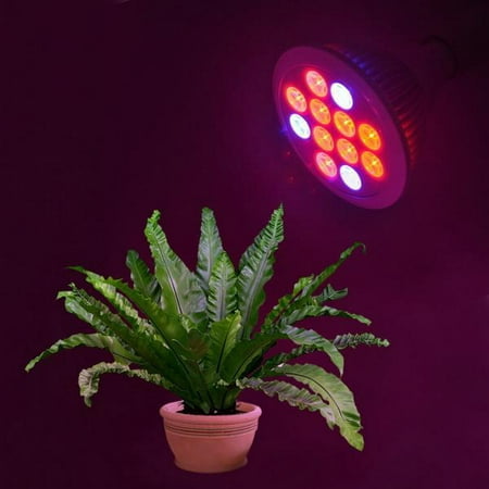 24W LED E27 LED Grow Light for Plants Indoors, Outdoors, Gardens, Closets, Greenhouses, Vegetables, Herbs & Flowers with Red & Blue for Hydroponics and Horticulture