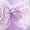 Purple, variant on Blue Girls Dance Shoes With Soft Soles Satin Upper, Bow Design Artificial Leather Sole For Practice Ages 1-2 Years