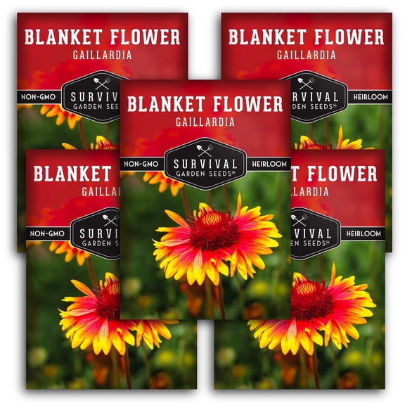 Blanket Flower Seeds - 5 Pack - Non-GMO Heirloom Full Sun Perennial Flower
