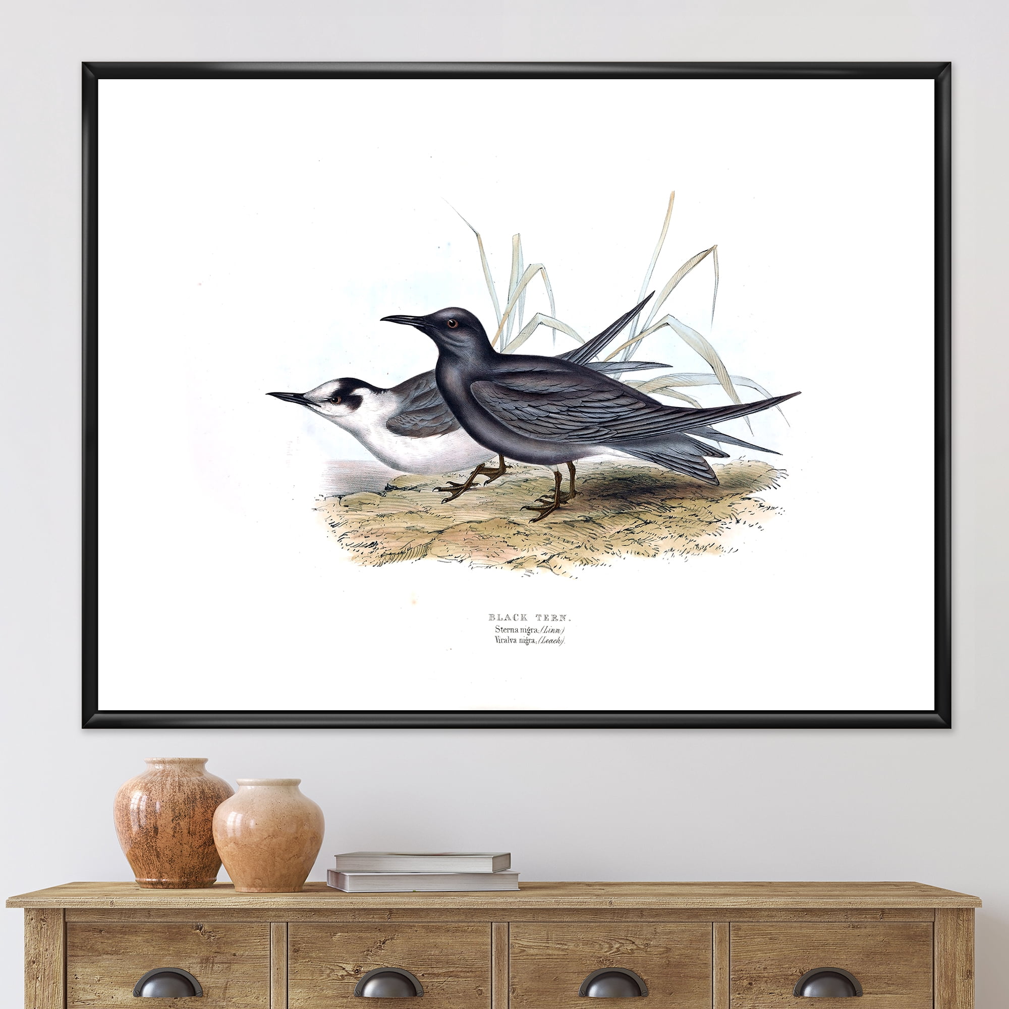 Ancient Bird Of Europe II 20 in x 12 in Framed Painting Canvas Art Print, by Designart