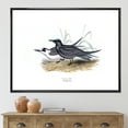 thumbnail image 2 of Ancient Bird Of Europe II 20 in x 12 in Framed Painting Canvas Art Print, by Designart, 2 of 5