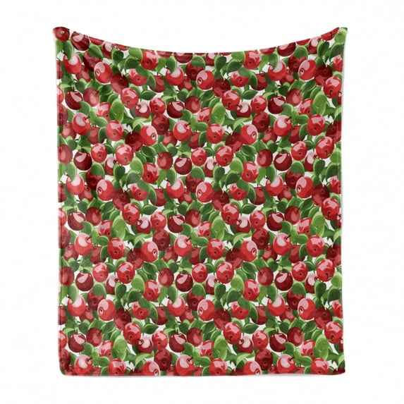 Fruits Soft Flannel Fleece Blanket, Red Apples and Green Leaves Organic Food Garden Harvest Eating Clean Theme Print, Cozy Plush for Indoor and Outdoor Use, 60" x 80", Red Green White, by Ambesonne