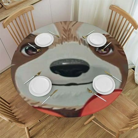 QKZF Cute Sloth Round Fitted Tablecloth Funny Lovely Animal Pink Grey Cartoon Doodle Comic Art Elastic Edge Tablecloth Waterproof Oilcloth Table Cover for 42-46