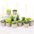 thumbnail image 2 of 1 pcs Artificial Succulent Plants Series Plastic Decorative Grass Collection, 2 of 4