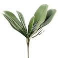 thumbnail image 1 of MesaSe Simulation Leaves Non-Wilting Fake Phalaenopsis Orchid Leaves Home Decor, 1 of 10